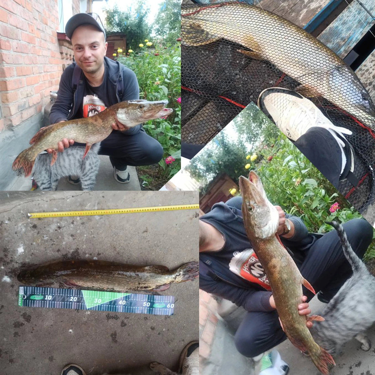 Biutifu Bigfish Carp Surfcasting Fishing Rod T800 Carbon Fast Action